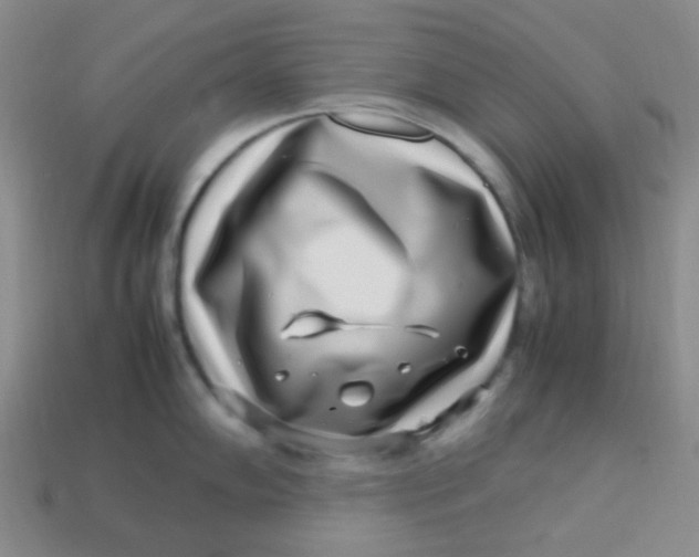 X0000113541102200910091238