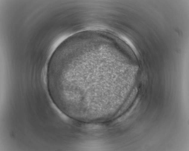 X0000113541103200910091238