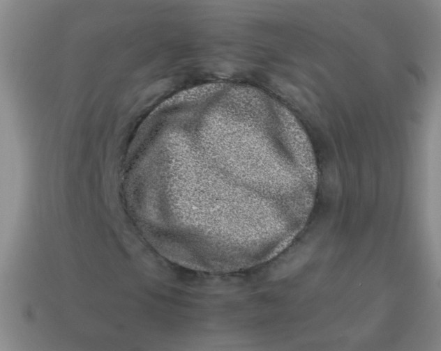 X0000113541105200910091237