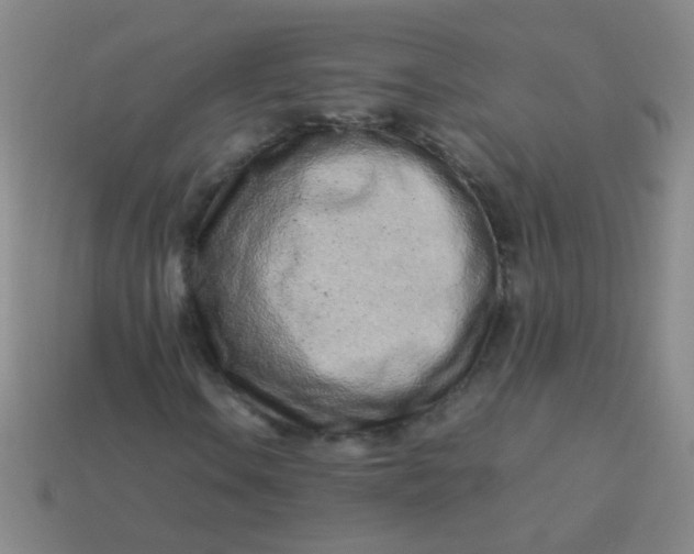 X0000113541106200910091237