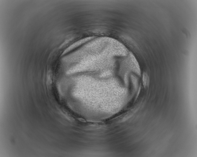 X0000113541107200910091237