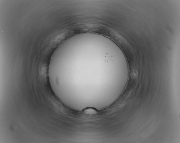 X0000113541108200910091237