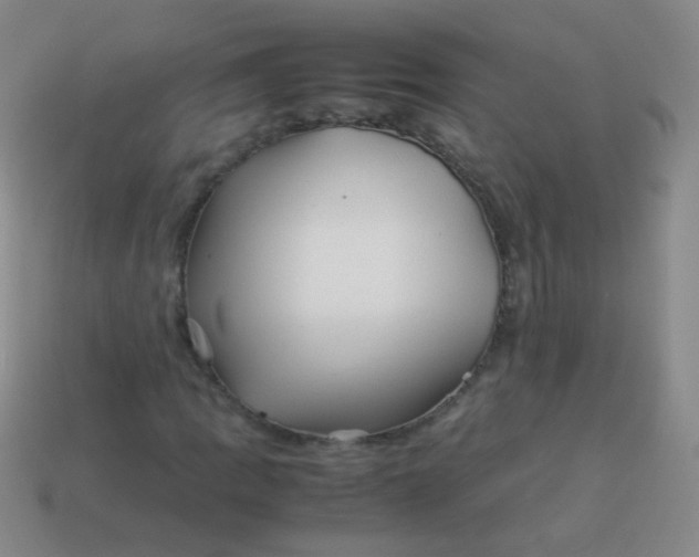 X0000113541109200910091237