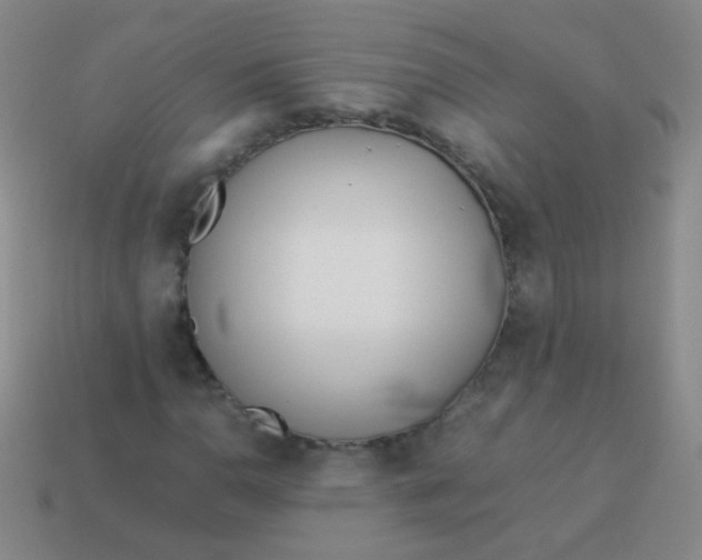 X0000113541110200910091237