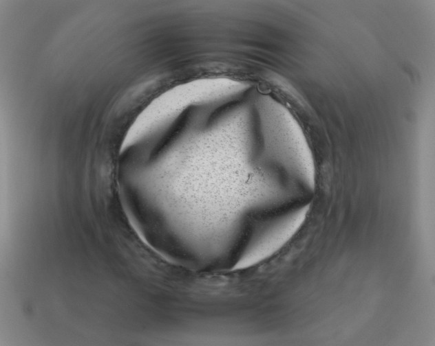 X0000113541111200910091237