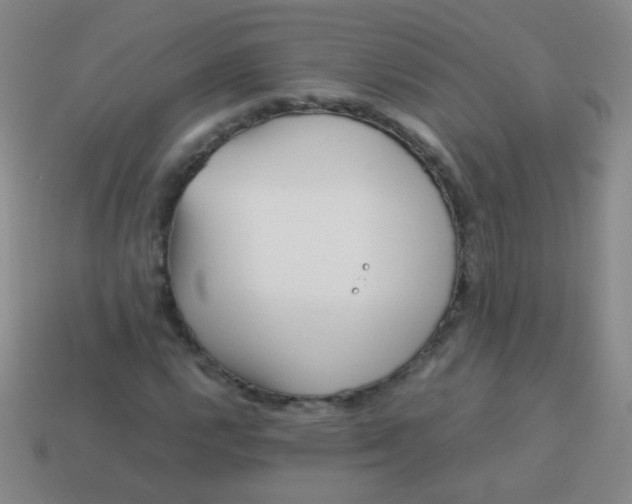 X0000113541112200910091237