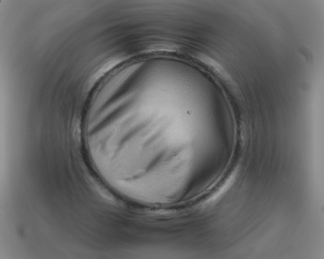 X0000113541113200910091237