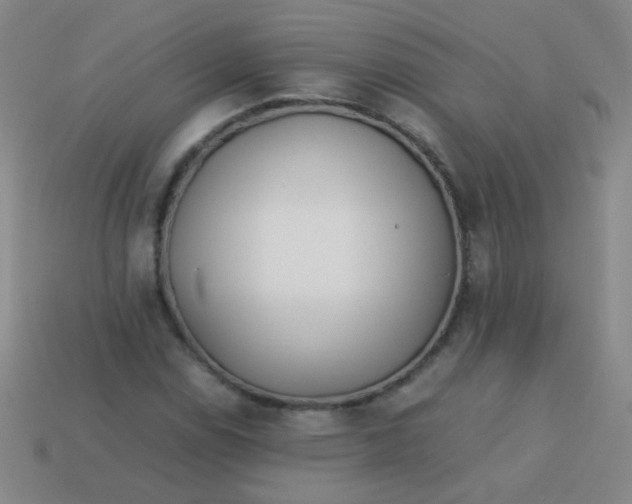 X0000113541114200910091237