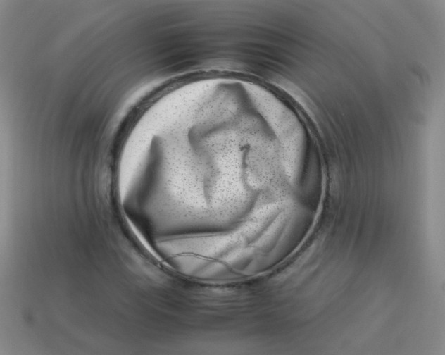 X0000113541115200910091237