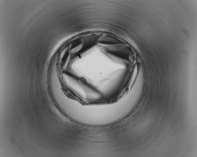 X0000113541116200910091237