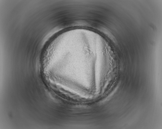 X0000113541117200910091237