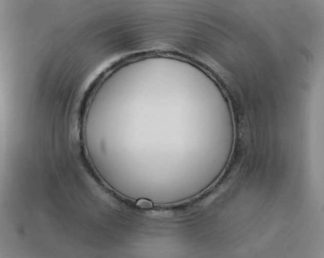 X0000113541118200910091237