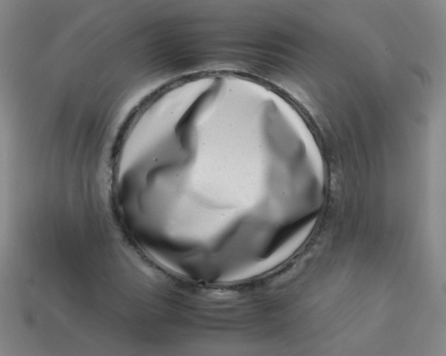 X0000113541119200910091237