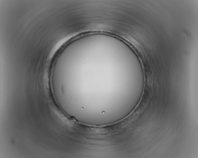 X0000113541120200910091237