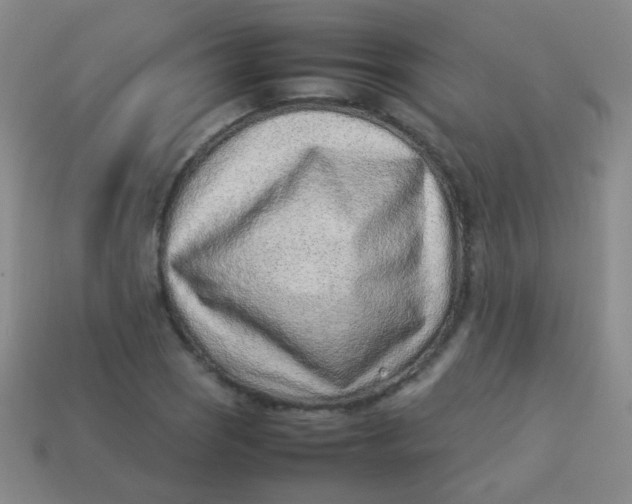 X0000113541121200910091237