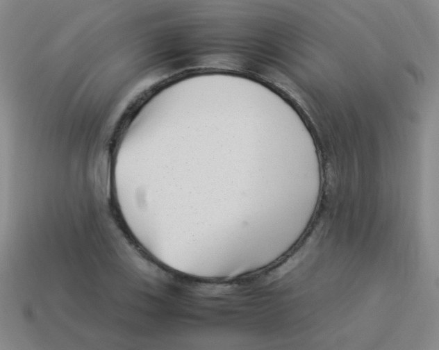 X0000113541123200910091237