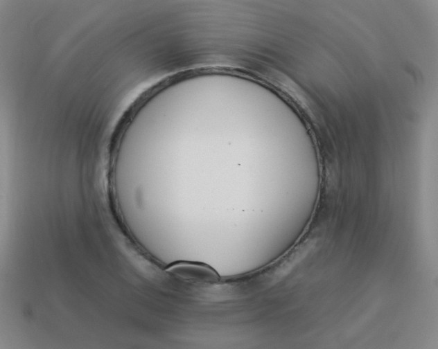 X0000113541124200910091237