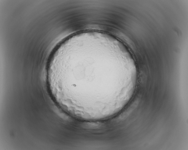 X0000113541125200910091237