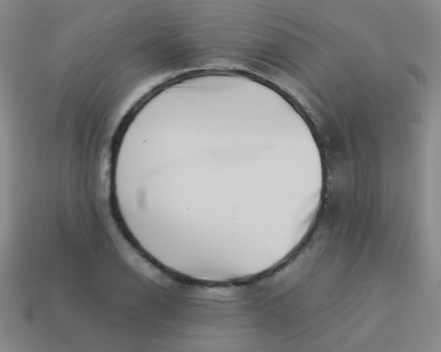 X0000113541126200910091237