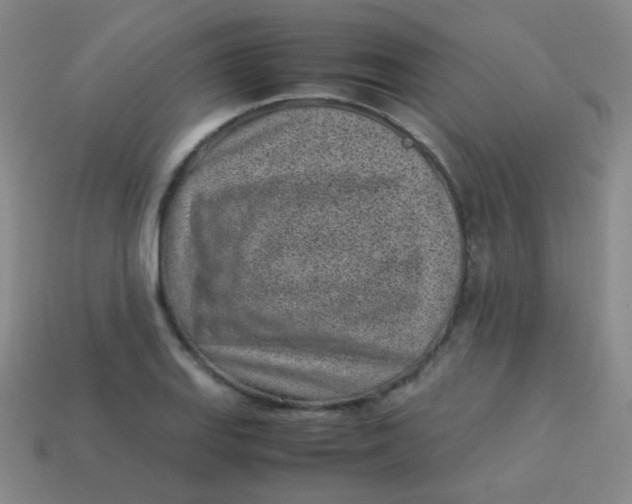 X0000113541127200910091237