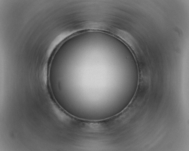 X0000113541128200910091237