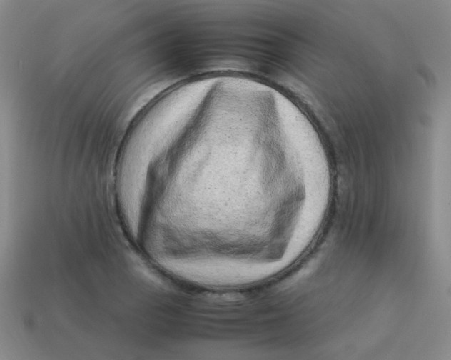 X0000113541129200910091237