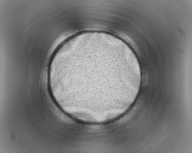 X0000113541130200910091237