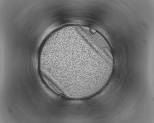 X0000113541131200910091238