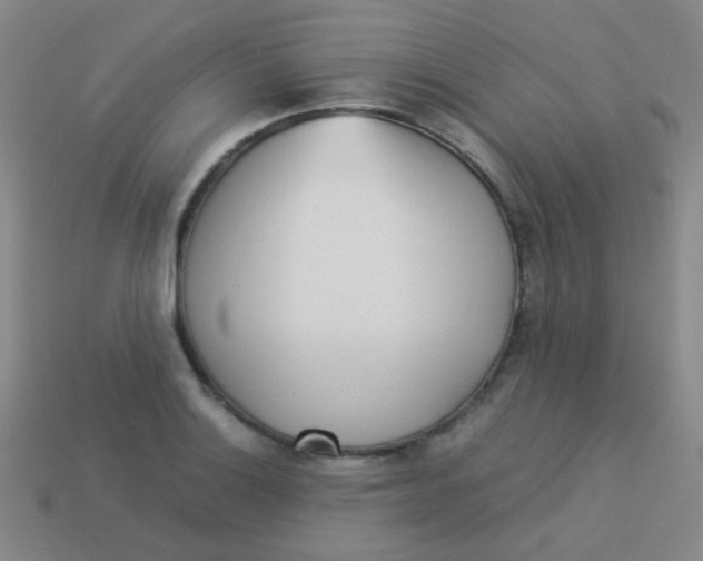 X0000113541132200910091238