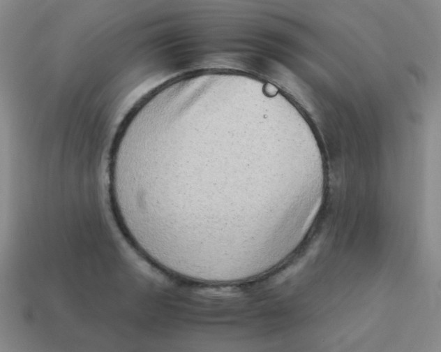 X0000113541133200910091238