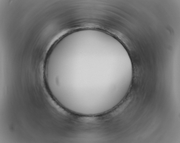 X0000113541134200910091238