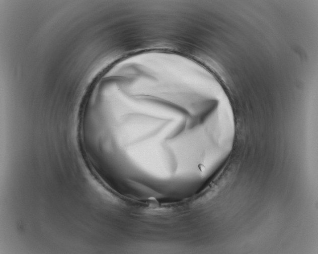 X0000113541135200910091238