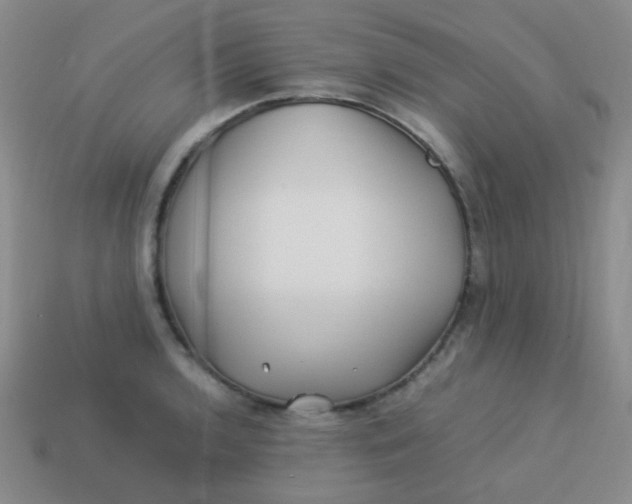 X0000113541136200910091238