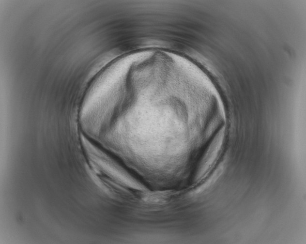 X0000113541137200910091238