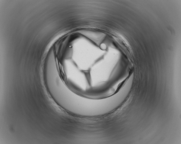 X0000113541138200910091238