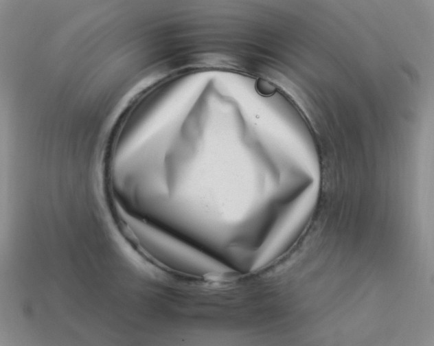 X0000113541139200910091238