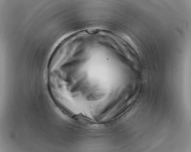 X0000113541140200910091238