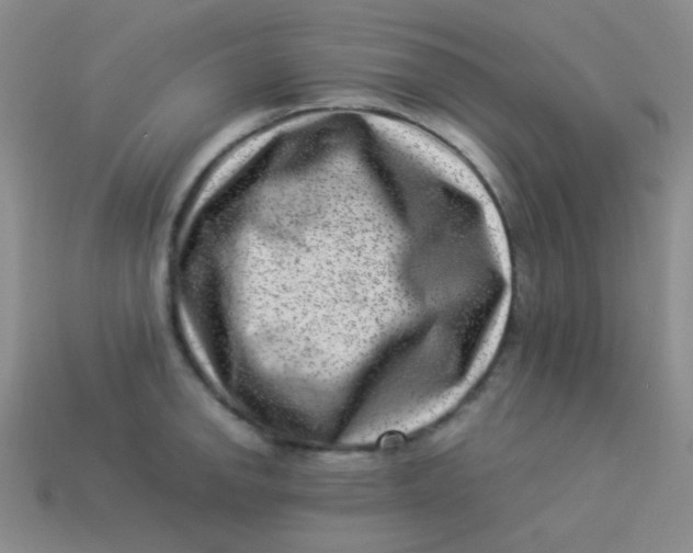 X0000113541142200910091238