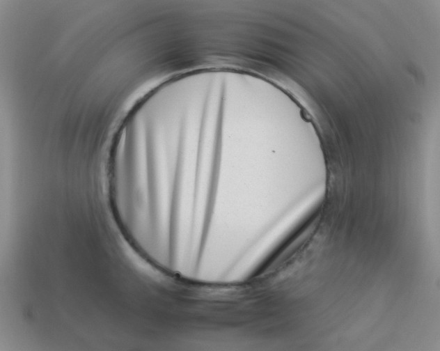 X0000113541143200910091238