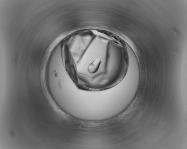 X0000113541144200910091238