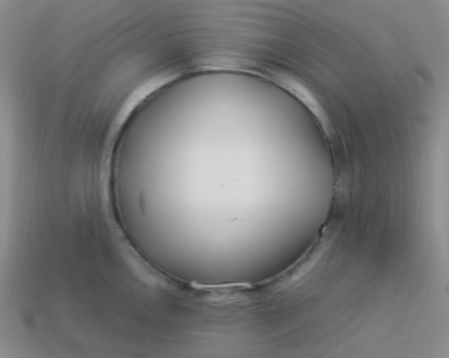 X0000113541146200910091238