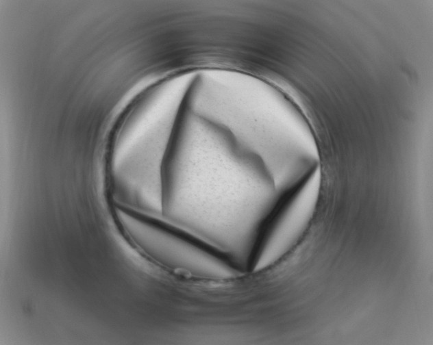 X0000113541147200910091238