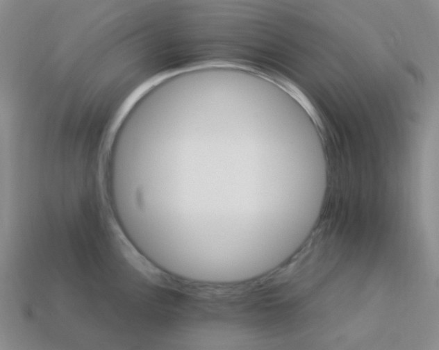 X0000113541148200910091238