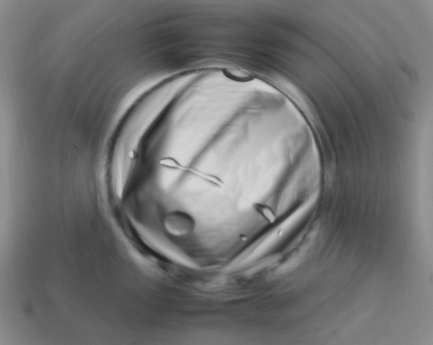 X0000113541149200910091238