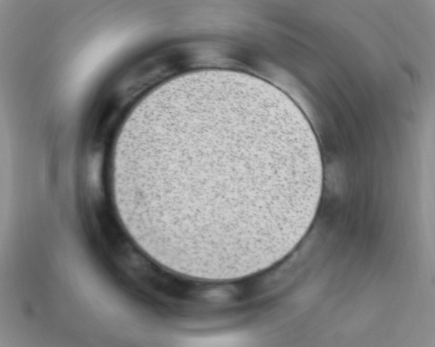 X0000113541150200910091238