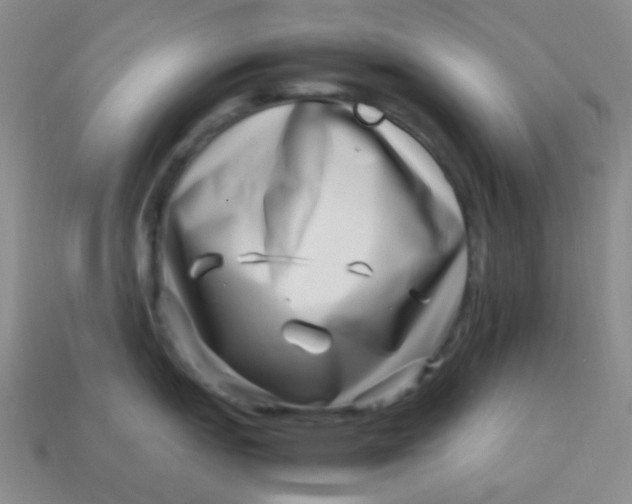 X0000113541151200910091238