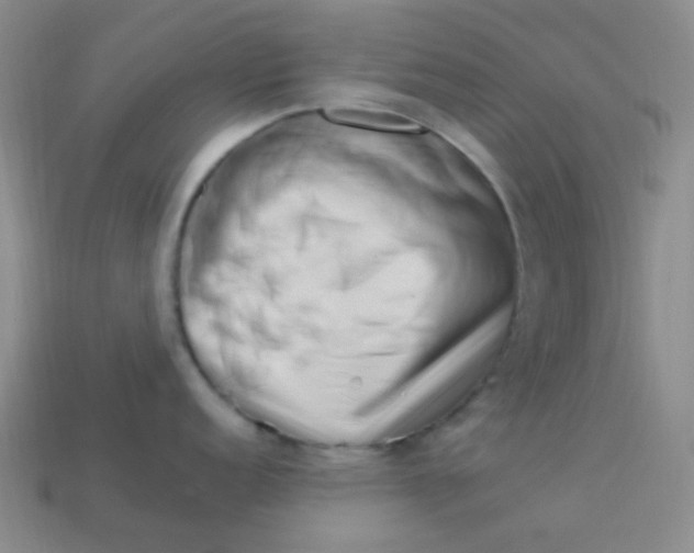 X0000113541152200910091238