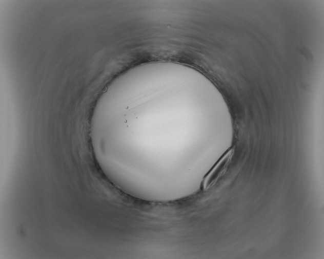 X0000113541153200910091237