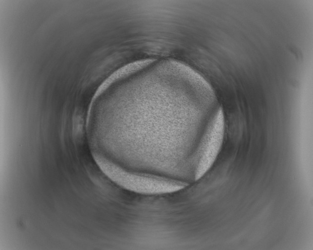 X0000113541154200910091237