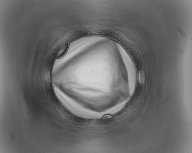 X0000113541155200910091237